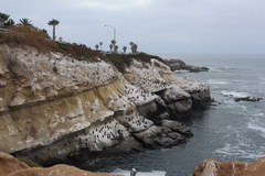 Набережная района La Jolla, Набережная La Jolla